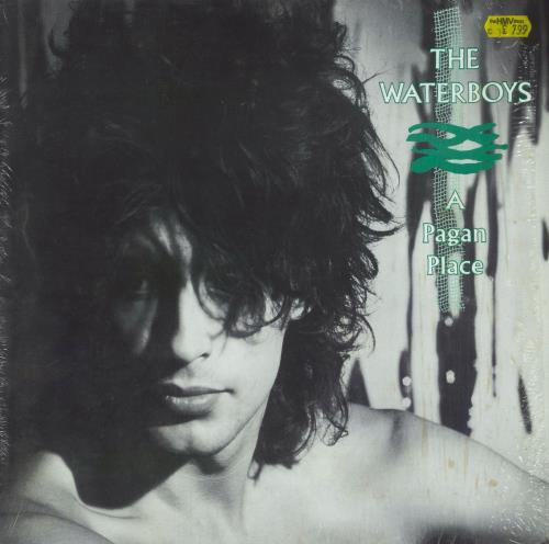 The Waterboys A Pagan Place - Shrink vinyl LP album (LP record) UK WATLPAP817267