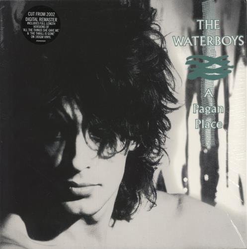 The Waterboys A Pagan Place vinyl LP album (LP record) UK WATLPAP885089