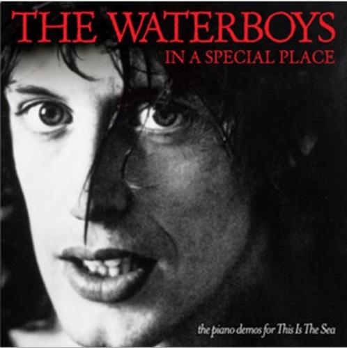 The Waterboys In A Special Place CD album (CDLP) UK WATCDIN534704
