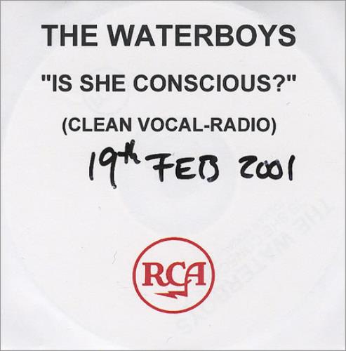 The Waterboys Is She Conscious? CD-R acetate UK WATCRIS175900