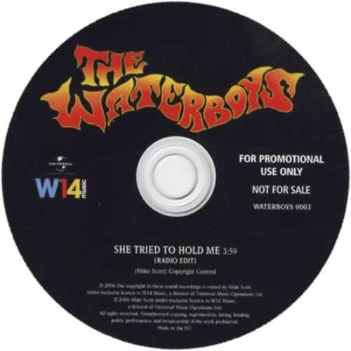 The Waterboys She Tried To Hold Me CD-R acetate UK WATCRSH405419