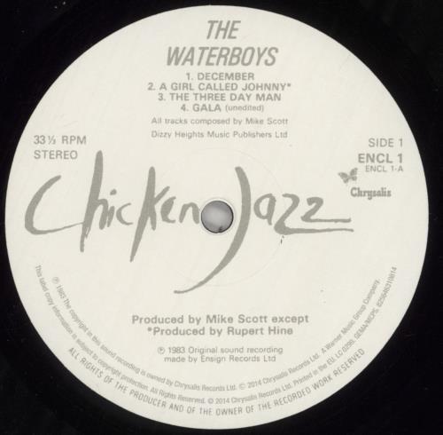 The Waterboys The Waterboys vinyl LP album (LP record) UK WATLPTH860333