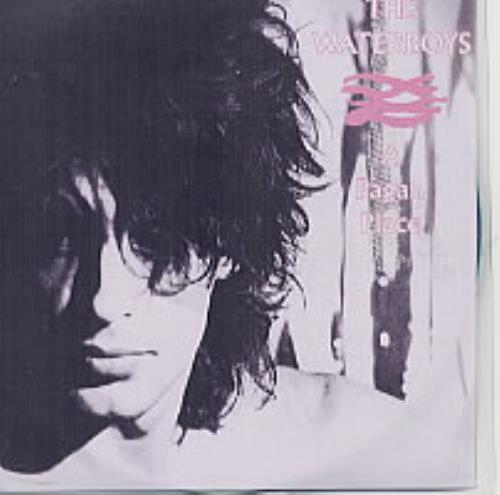 The Waterboys The Waterboys/A Pagan Place CD-R acetate UK WATCRTH208808