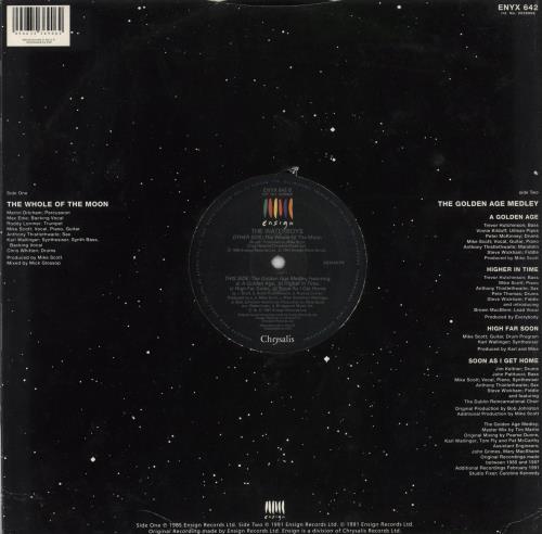 The Waterboys The Whole Of The Moon 12" vinyl single (12 inch record / Maxi-single) UK WAT12TH310038