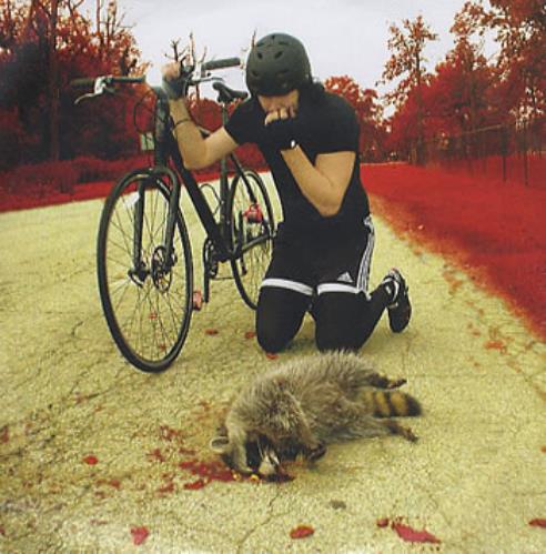 The White Stripes The Denial Twist CD-R acetate UK WSTCRTH355818