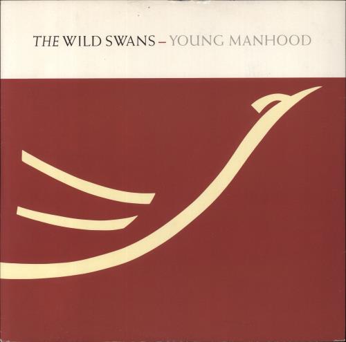 The Wild Swans Young Manhood 12" vinyl single (12 inch record / Maxi-single) UK WSW12YO517696