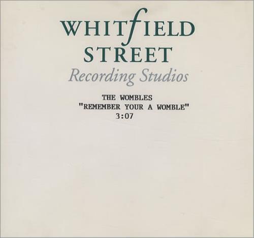 The Wombles Remember You're A Womble CD-R acetate UK WMBCRRE423650