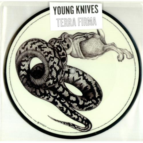 The Young Knives Terra Firma 7" vinyl picture disc (7 inch picture disc single) UK TKY7PTE417760