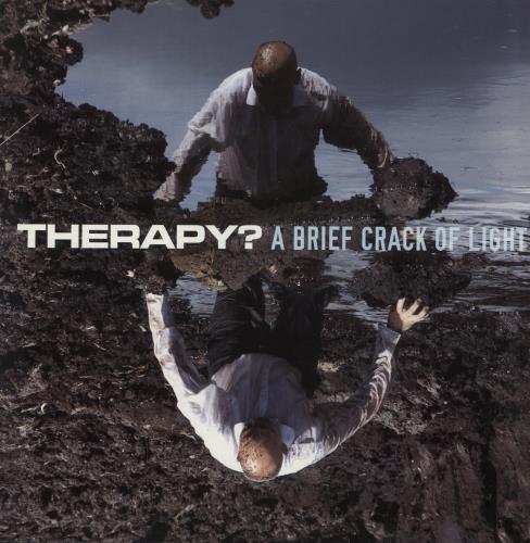 Therapy? A Brief Crack Of Light - Purple Vinyl vinyl LP album (LP record) UK THPLPAB866620
