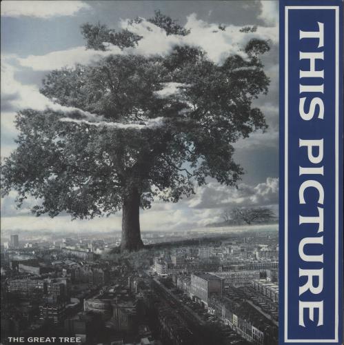 This Picture The Great Tree 12" vinyl single (12 inch record / Maxi-single) UK TG712TH753588
