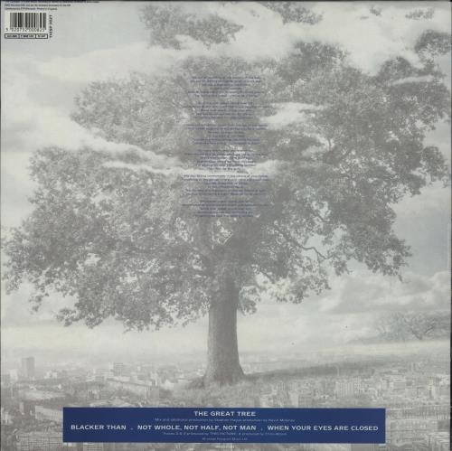 This Picture The Great Tree 12" vinyl single (12 inch record / Maxi-single) UK TG712TH753588