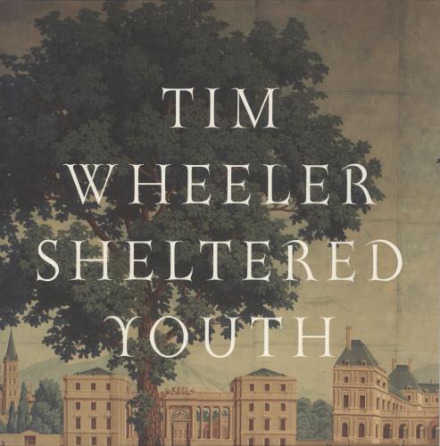 Tim Wheeler Sheltered Youth 10" vinyl single (10 inch record) UK XN410SH886485