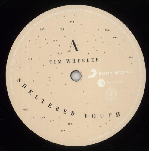 Tim Wheeler Sheltered Youth 10" vinyl single (10 inch record) UK XN410SH886485