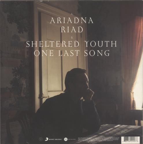 Tim Wheeler Sheltered Youth 10" vinyl single (10 inch record) UK XN410SH886485