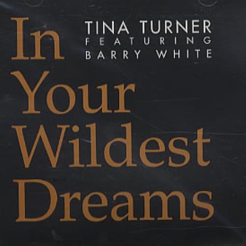 Tina Turner In Your Wildest Dreams CD single (CD5 / 5") US TURC5IN214729