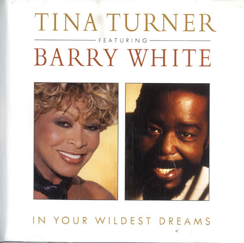 Tina Turner In Your Wildest Dreams CD single (CD5 / 5") US TURC5IN75131