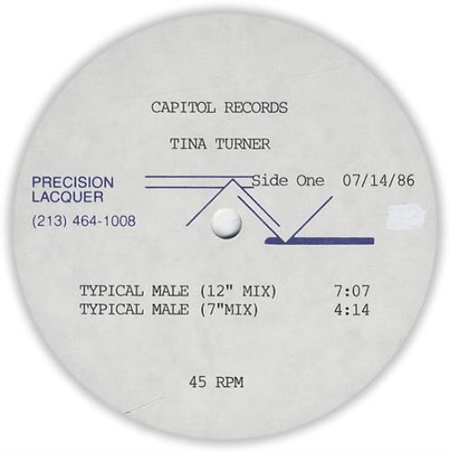 Tina Turner Typical Male 2-LP vinyl record set (Double LP Album) US TUR2LTY417176