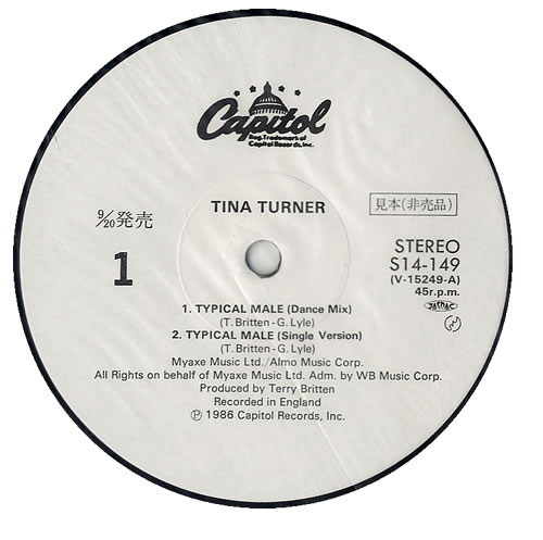 Tina Turner Typical Male 12" vinyl single (12 inch record / Maxi-single) Japanese TUR12TY552709