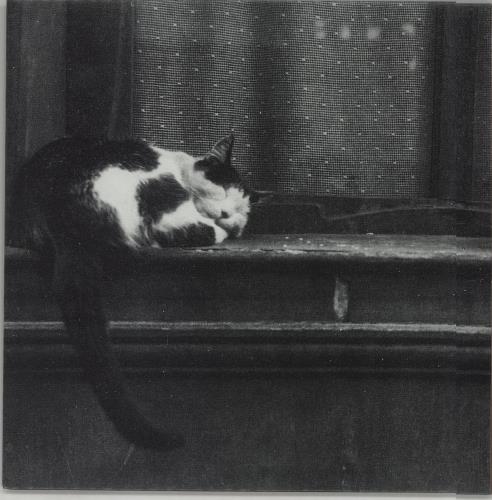 Tindersticks City Sickness 7" vinyl single (7 inch record / 45) UK TND07CI77901