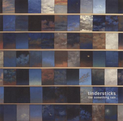 Tindersticks The Something Rain - 180gm vinyl LP album (LP record) UK TNDLPTH866742