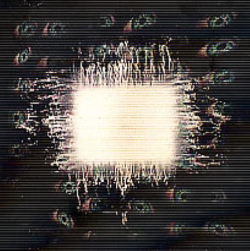 Tool Aenima - 3-D Lenticular Sleeve - 1st CD album (CDLP) US OOTCDAE273122