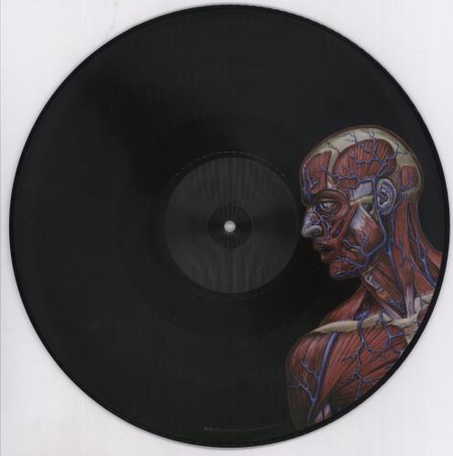 Tool Lateralus picture disc LP (vinyl picture disc album) US OOTPDLA893152