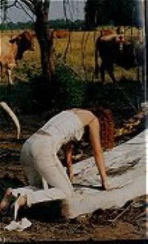 Tori Amos Boys For Pele - sampler cassette single UK TORCMBO158705