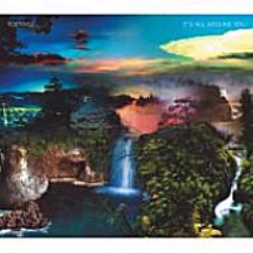 Tortoise It's All Around You CD album (CDLP) Japanese ISECDIT272795