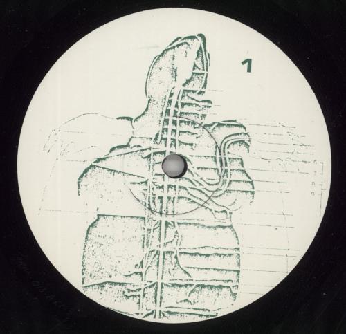 Tortoise Tortoise vinyl LP album (LP record) US ISELPTO868127