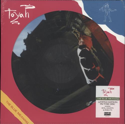 Toyah The Blue Meaning - 45th Anniversary - Sealed picture disc LP (vinyl picture disc album) UK TYHPDTH873639