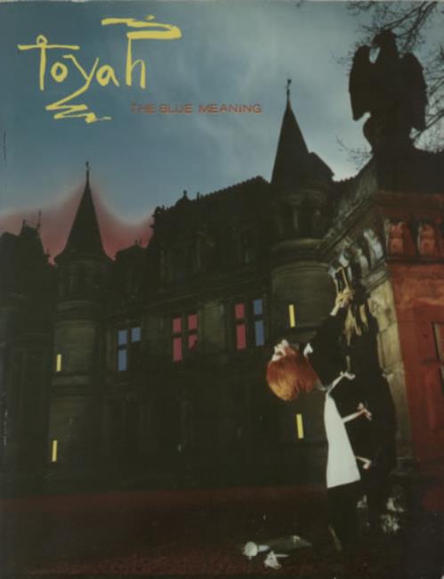 Toyah The Blue Meaning book UK TYHBKTH593609