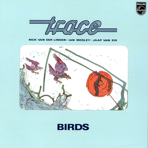 Trace Birds vinyl LP album (LP record) Dutch T5ELPBI460905