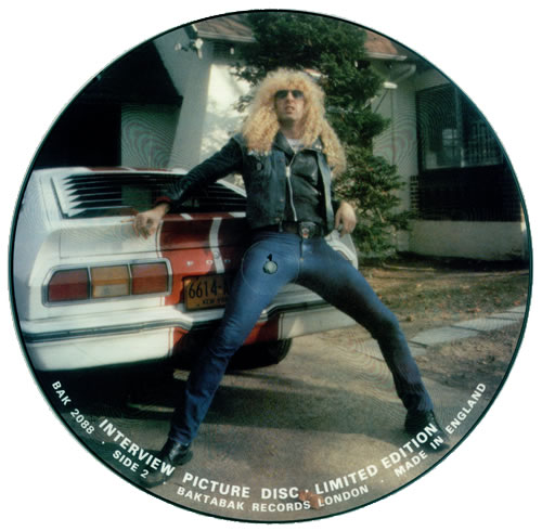 Twisted Sister Interview Picture Disc picture disc LP (vinyl picture disc album) UK TWSPDIN454622