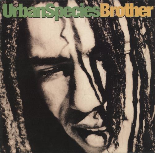 Urban Species Brother 12" vinyl single (12 inch record / Maxi-single) UK UBN12BR705475