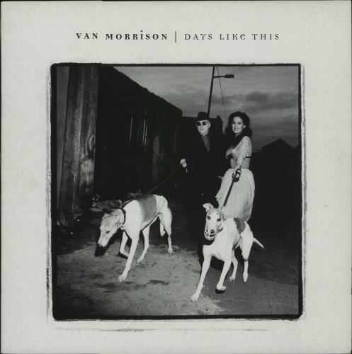 Van Morrison Days Like This vinyl LP album (LP record) UK VMOLPDA656723