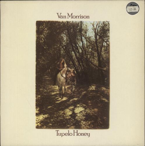 Van Morrison Tupelo Honey vinyl LP album (LP record) UK VMOLPTU477384