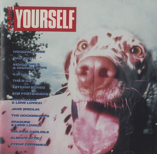 Various Artists Tame Yourself CD album (CDLP) US VARCDTA05729
