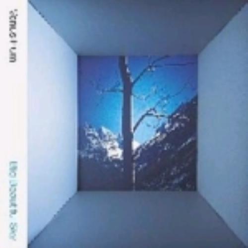 Venus Hum Big Beautiful Sky CD album (CDLP) UK VHUCDBI243728