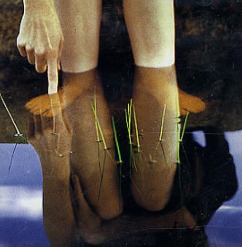 Victoria Williams Musings Of A Creekdipper CD album (CDLP) US VCWCDMU291206