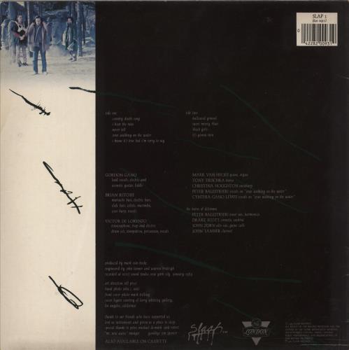 Violent Femmes Hallowed Ground vinyl LP album (LP record) UK VIOLPHA358951