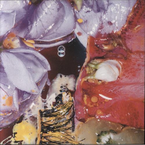 Virginia Wing Forward Constant Motion vinyl LP album (LP record) UK 55VLPFO858559