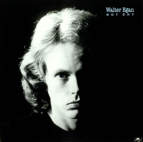 Walter Egan Not Shy vinyl LP album (LP record) UK WEGLPNO536088