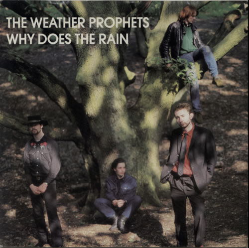 Weather Prophets Why Does The Rain 12" vinyl single (12 inch record / Maxi-single) UK WPR12WH291829
