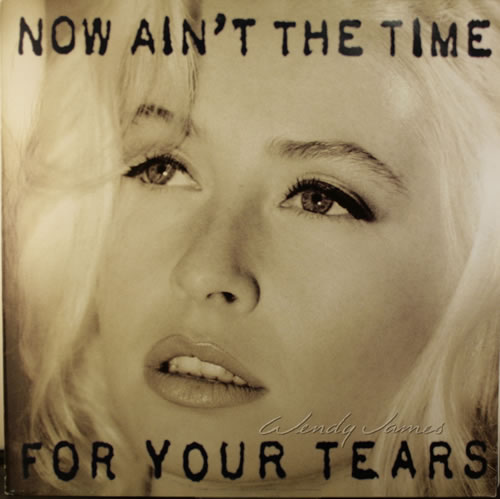 Wendy James Now Ain't The Time For Your Tears vinyl LP album (LP record) UK WJALPNO155122