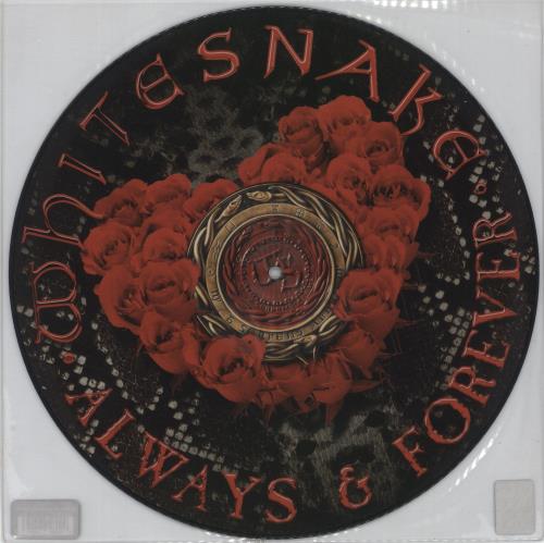 Whitesnake Always & Forever 12" vinyl picture disc (12 inch picture record) Italian WHI2PAL887790