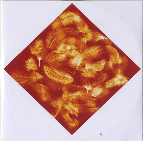 Wild Beasts Albatross CD-R acetate UK WJUCRAL604875