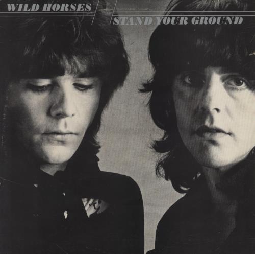 Wild Horses Stand Your Ground vinyl LP album (LP record) UK WLDLPST849300