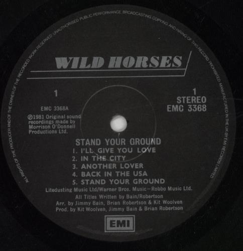 Wild Horses Stand Your Ground vinyl LP album (LP record) UK WLDLPST849300