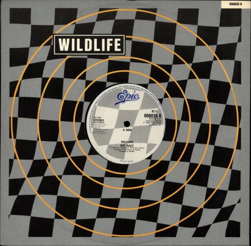 Wildlife [90S Rock] Rat Race 12" vinyl single (12 inch record / Maxi-single) UK YWW12RA695537
