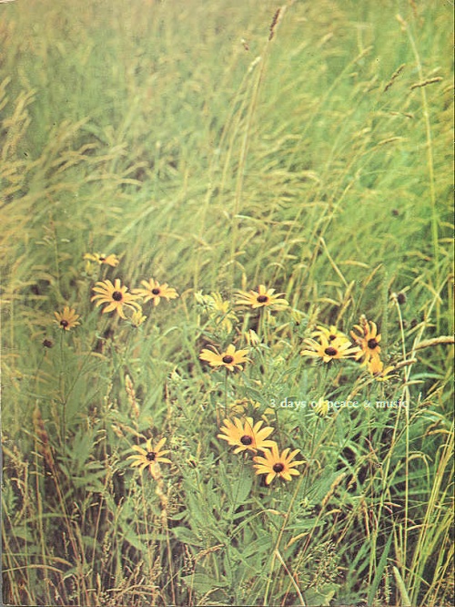 Woodstock 3 Days Of Peace & Music tour programme US WP0TRDA553640